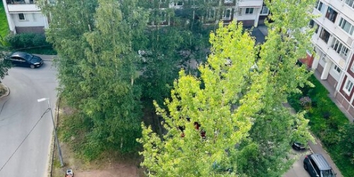 4-комн квартира Планерная ул,  д. 79