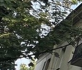 Продать Комнаты в квартирах Пушкин, Магазейная улица, 64   