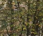 Продать Квартиры вторичка проспект Солидарности, 10К1   