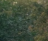 Продать Квартиры вторичка 2-й Балтийский переулок, 1/18ка   