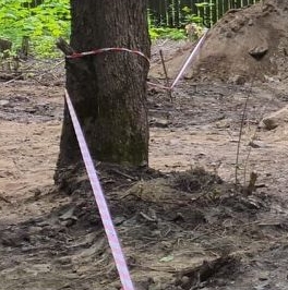 Продажа земли Токсово городской поселок, улица Комендантская гора