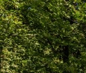 Продать Квартиры вторичка Офицерский переулок, 8   