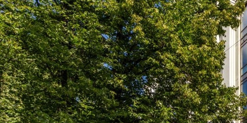 1-комн квартира Офицерский переулок, 8