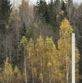 Продажа земли Красный Маяк АОЗТ,  д. 172