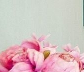 Сдать в аренду Квартиры вторичка Ботаническая улица, 33Вс1   