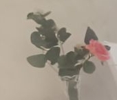 Сдать в аренду Квартиры вторичка улица Перерва, 16   