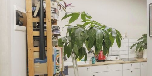 Студия улица Восстания, 40