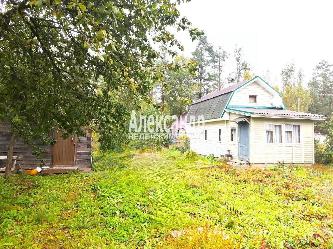 Продажа дома Расцвет СНТ, улица Тихая