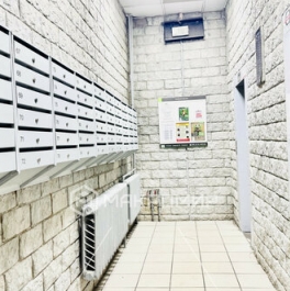 Продажа 1-комн квартиры на вторичном рынке Муринский 2-й пр-кт,  д. 51