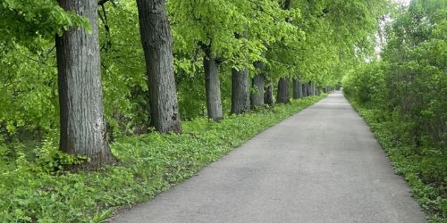 2-комн квартира улица Гурьянова, 87с6