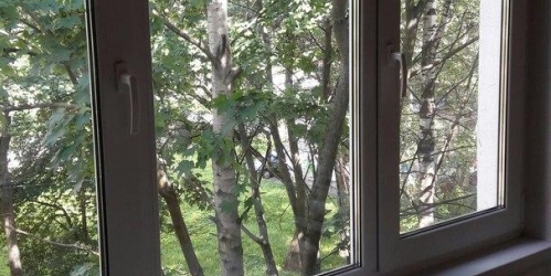 2-комн квартира Ольги Форш ул ,  д. 3