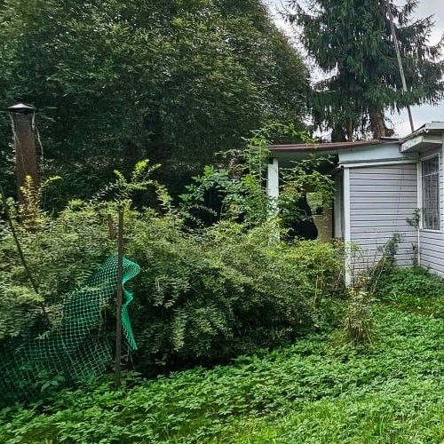 Коттедж/дом Пластполимер-1 СНТ, улица Садовая,  д. 71