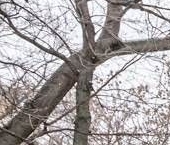 Продать Квартиры вторичка Колымажный переулок, 10   