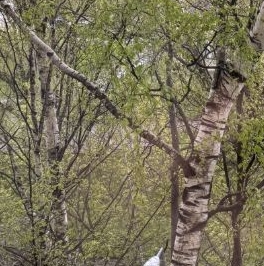 Продажа комнаты проспект Энтузиастов, 18К2