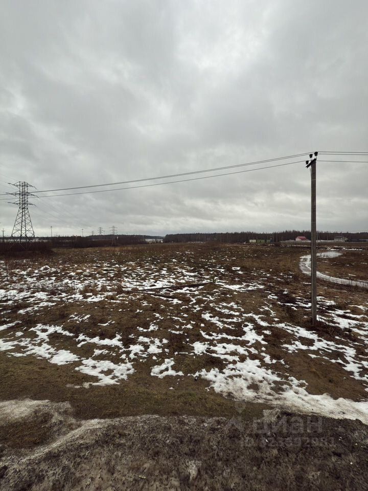 Продажа земли д. Большое Коновалово, улица Центральная