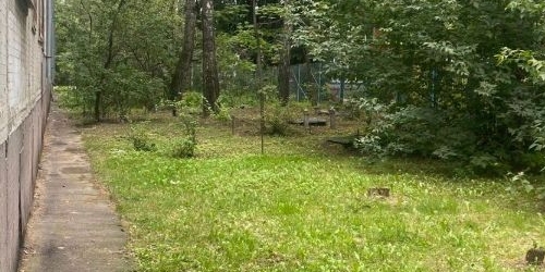 1-комн квартира Балашиха, шоссе Энтузиастов, 67