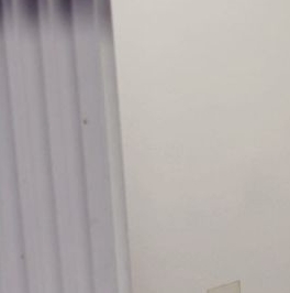 Аренда 1-комн квартиры на вторичном рынке улица Рубинштейна, 25