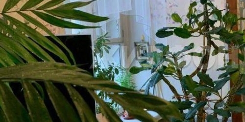 5-комн квартира Садовая улица, 44