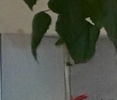 Продать Квартиры вторичка Кузнецовская улица, 58к1   