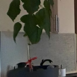 Продажа студии Кузнецовская улица, 58к1