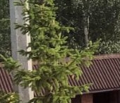 Продать Дачи, коттеджи, загородные дома Колос-2 СНТ, 291А   