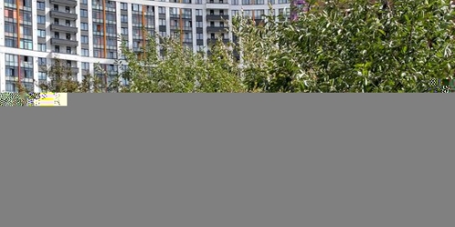 1-комн квартира ул Черкасова,  д. 4,  к. 1