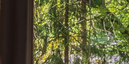 6-комн квартира Пушкин, Садовая улица, 10