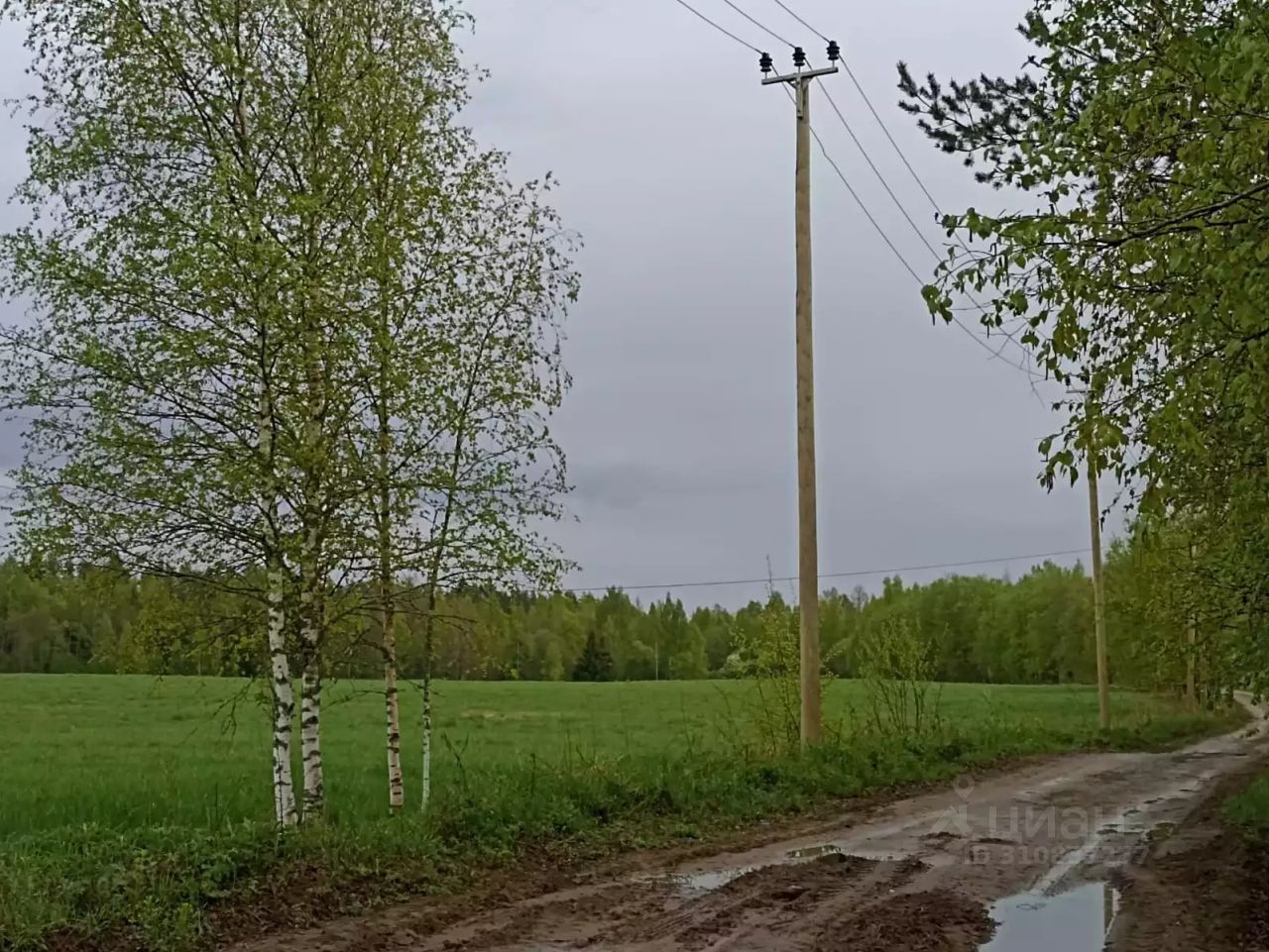 Продажа земли д. Васильево, улица Лыжная