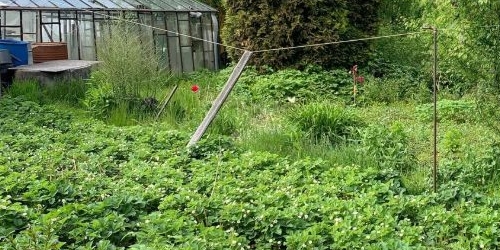 Коттедж/дом Горелово тер., улица Социалистическая, 94