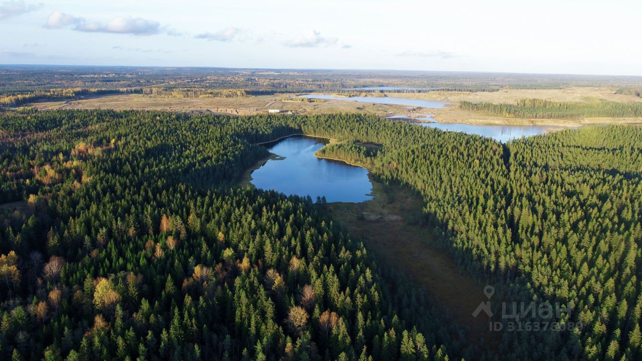 Продажа земли Линтулово кп, 133