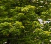 Продать Квартиры вторичка Старопименовский переулок, 14   