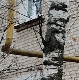 Продажа 1-комн квартиры на вторичном рынке Серпухов, улица Горького, 14