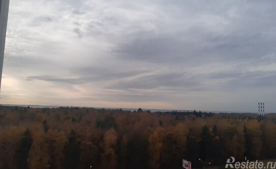 Продажа 2-комн квартиры на вторичном рынке Приморское шоссе,  д. 261