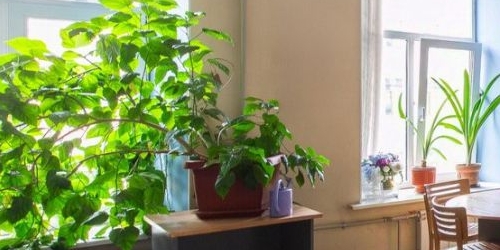 4-комн квартира Невский проспект, 74-76