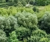 Сдать в аренду Квартиры вторичка Мичуринский проспект, 39   