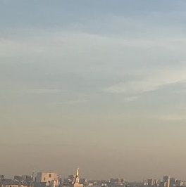 Продажа 1-комн квартиры на вторичном рынке Березовая аллея, 19к2