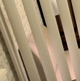 Аренда 1-комн квартиры на вторичном рынке улица Федора Полетаева, 19К2