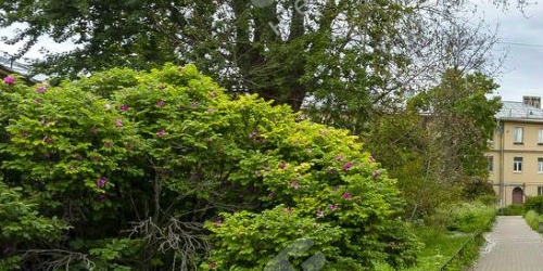 6-комн квартира проспект Елизарова, 8к2Е