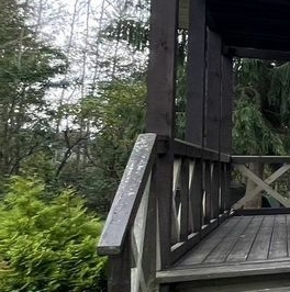 Продажа дома Чаща садоводческий массив, Парус СНТ,  д. 318