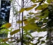 Продать Квартиры вторичка Базовская улица, 14   