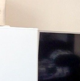 Аренда студии Лопатино пгт, улица Сухановская, 23