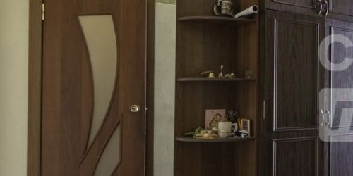 2-комн квартира Пушкин, Конюшенная улица, 39/39