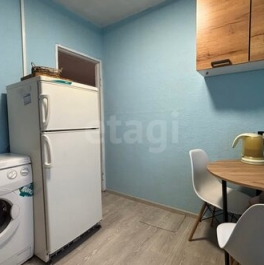 Продажа 1-комн квартиры на вторичном рынке Клишева, Центральная улица,  д. 1