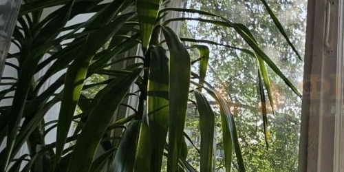 2-комн квартира улица Пилотов, 18К4