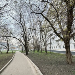 Продажа 1-комн квартиры на вторичном рынке Россошанский проезд,  д. 4 к3