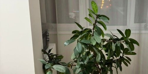 1-комн квартира улица Полины Осипенко, 2к2