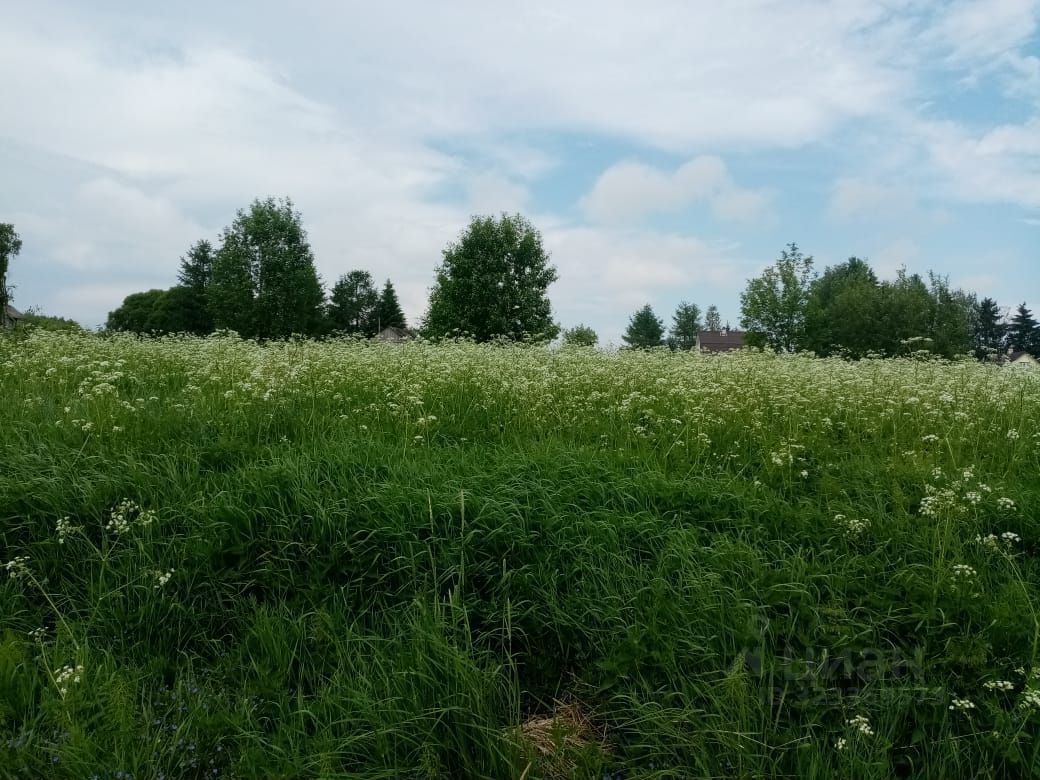 Продажа земли пос. Портовое, улица Большая, 32