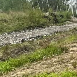 Продажа земли У Лукоморья СНТ