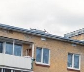 Сдать в аренду Квартиры вторичка Павловск, улица Толмачева, 13   