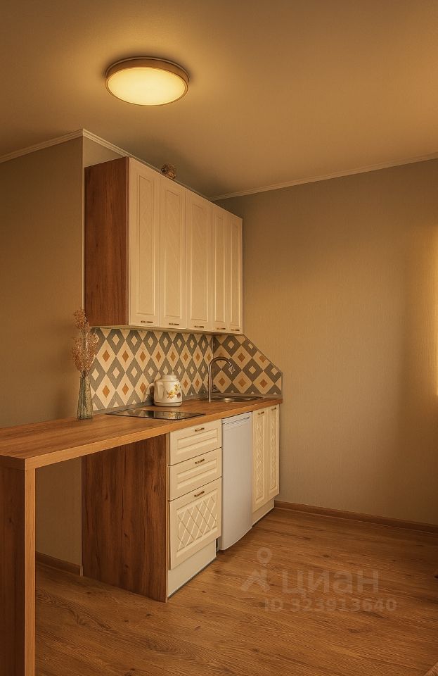 Аренда студии пос. Парголово, проезд Толубеевский, 8к2